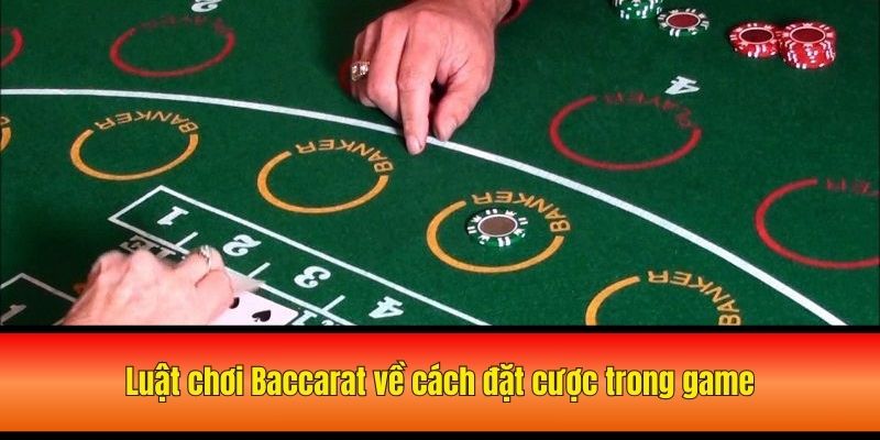 Luật chơi Baccarat về cách đặt cược trong game