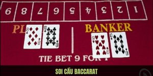 Soi Cầu Baccarat